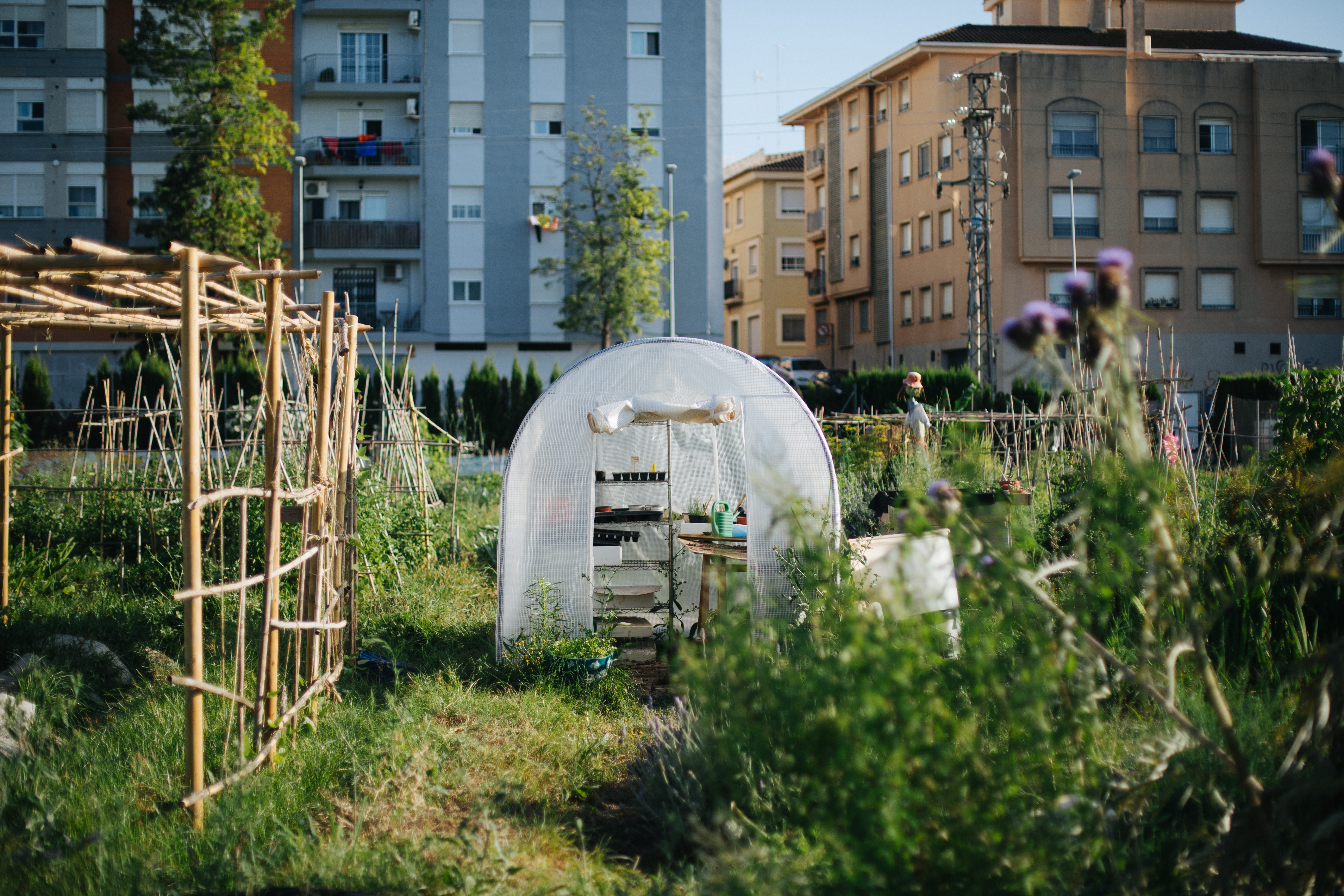 Chiara Sgaramella, L’Animeta Community Gardens (2023). Photography: Caixa Fosca.