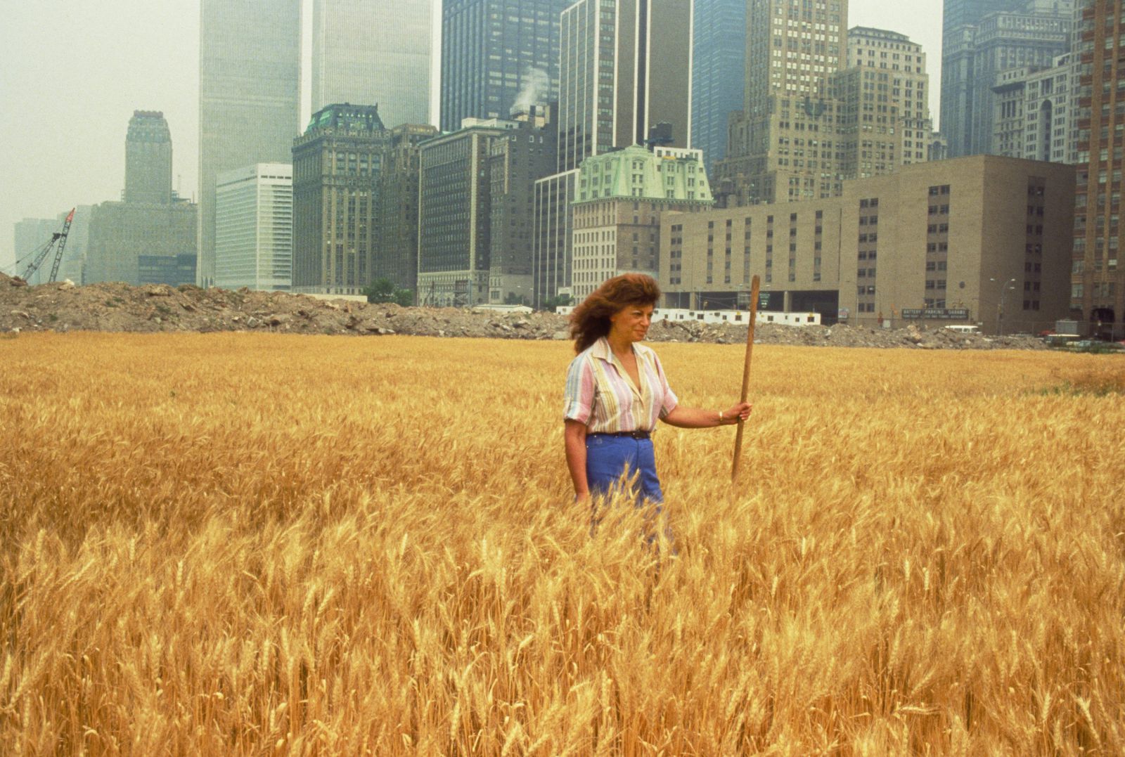 Agnes Denes, Wheatfield—A Confrontation: Battery Park Landfill, Downtown Manhattan—With Agnes Denes Standing in the Field, 1982. Photo: John McGrail. Courtesy of Agnes Denes and Leslie Tonkonow Artworks + Projects.